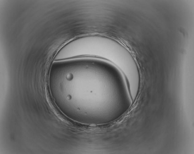 X0000112950097200909071124