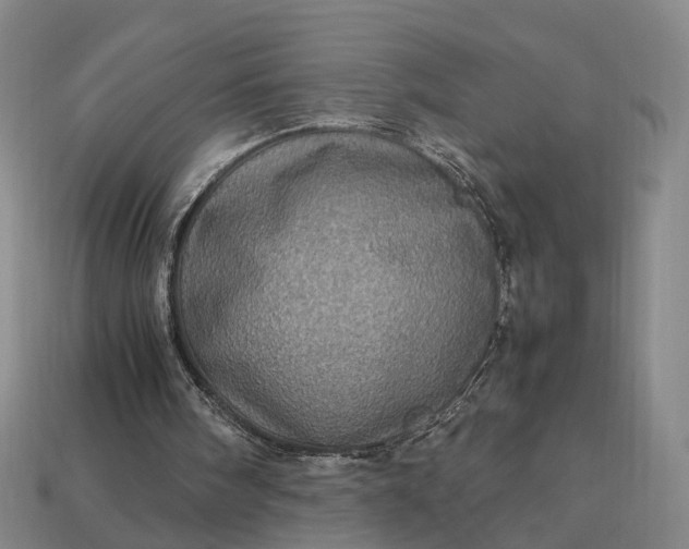 X0000112950098200909071124