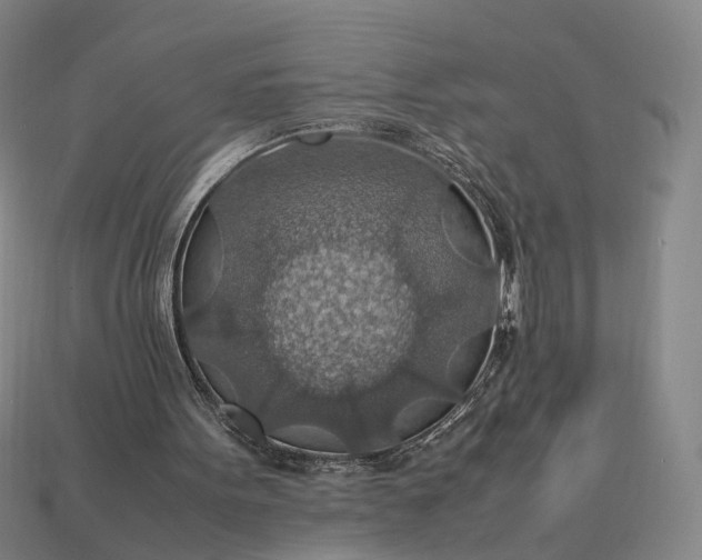 X0000112950099200909071124