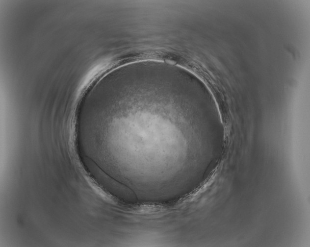 X0000112950101200909071124