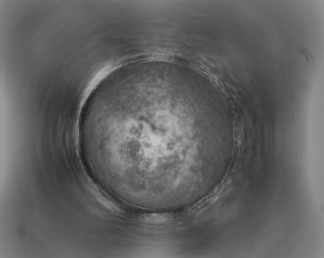 X0000112950102200909071124