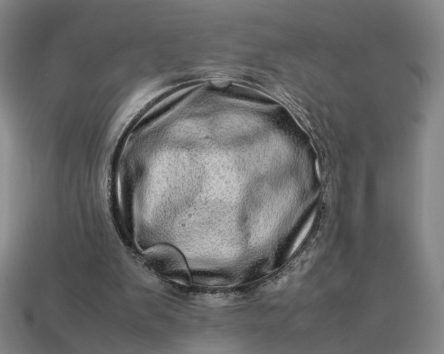 X0000112950103200909071124