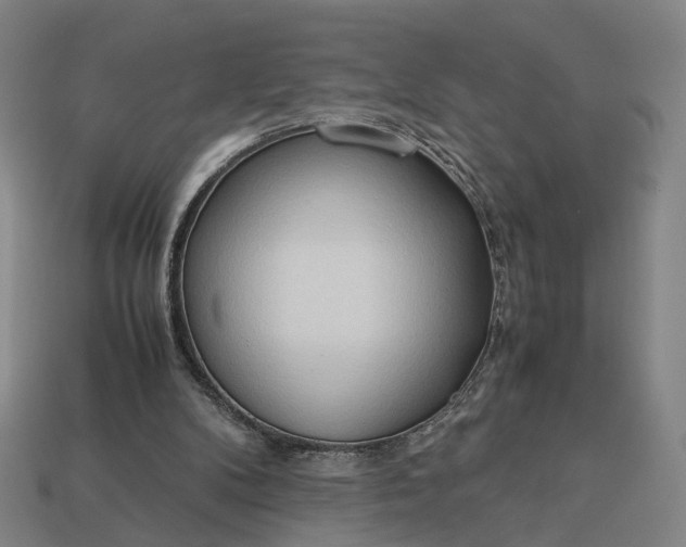 X0000112950104200909071124