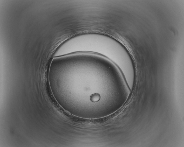 X0000112950105200909071124