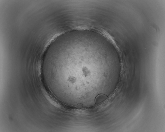 X0000112950106200909071124