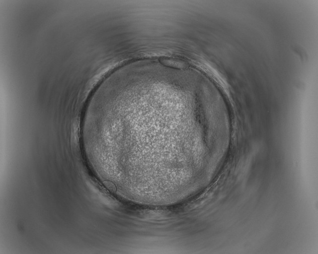 X0000112950107200909071124