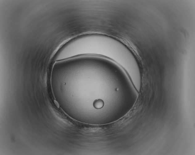 X0000112950108200909071124