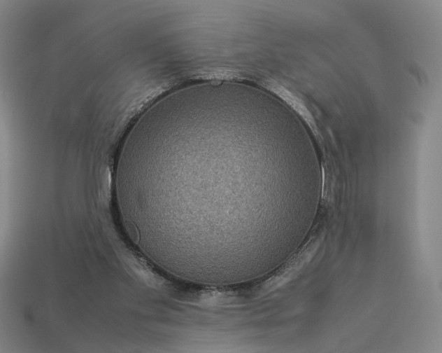 X0000112950109200909071124