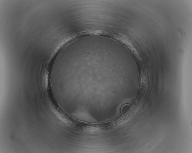 X0000112950110200909071124