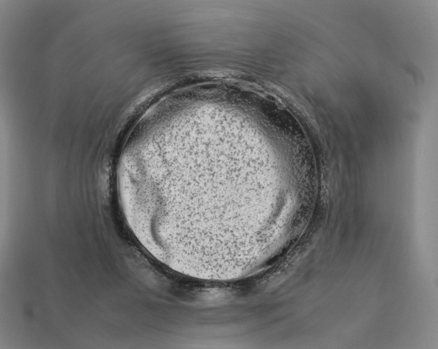 X0000112950111200909071124