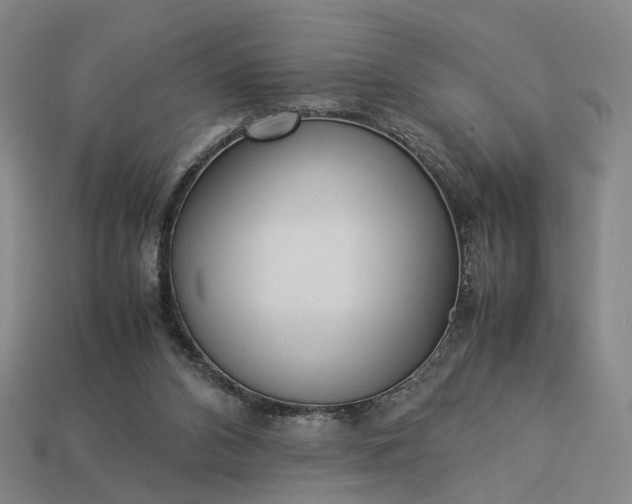 X0000112950112200909071124