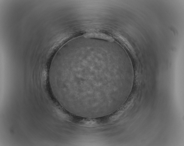 X0000112950113200909071123