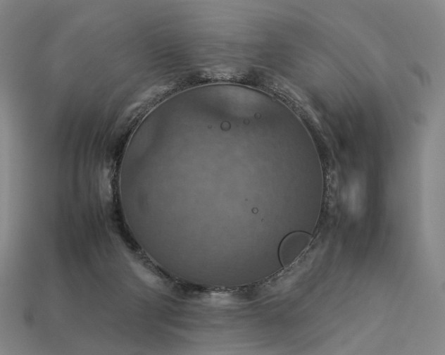 X0000112950114200909071123