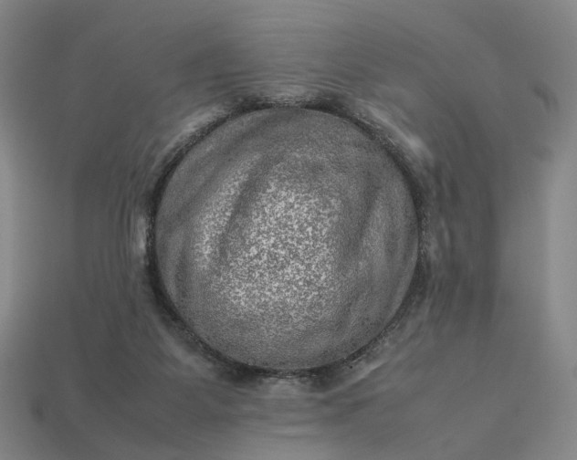 X0000112950115200909071123