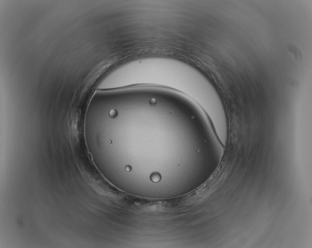 X0000112950116200909071123