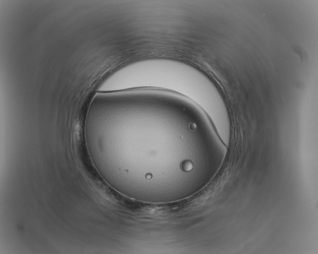 X0000112950117200909071123