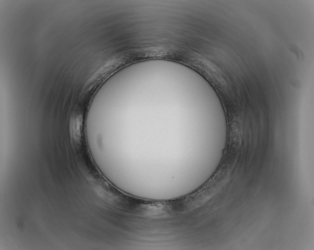 X0000112950118200909071123