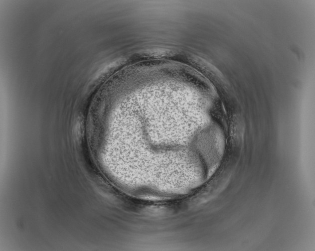 X0000112950119200909071123