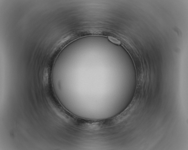 X0000112950120200909071123