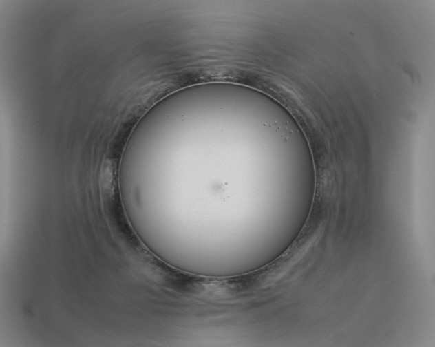 X0000112950121200909071123