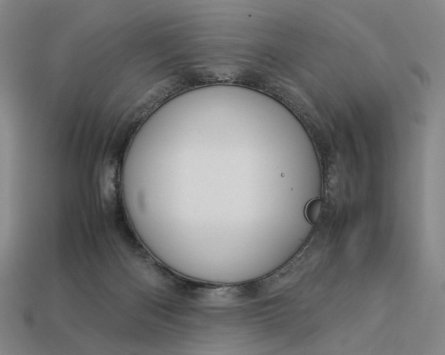 X0000112950122200909071123