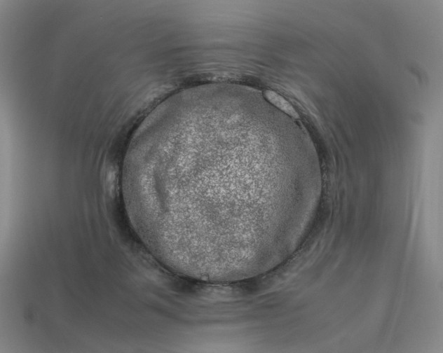 X0000112950123200909071123