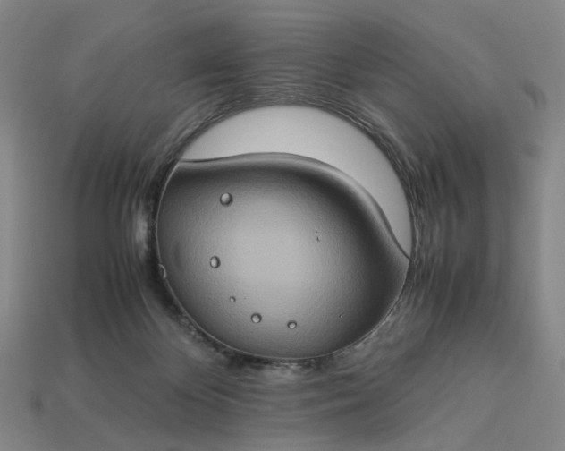 X0000112950124200909071123