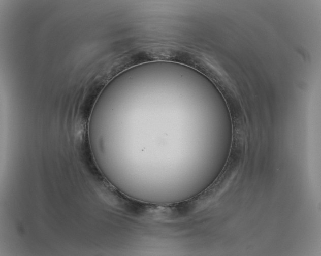 X0000112950125200909071123