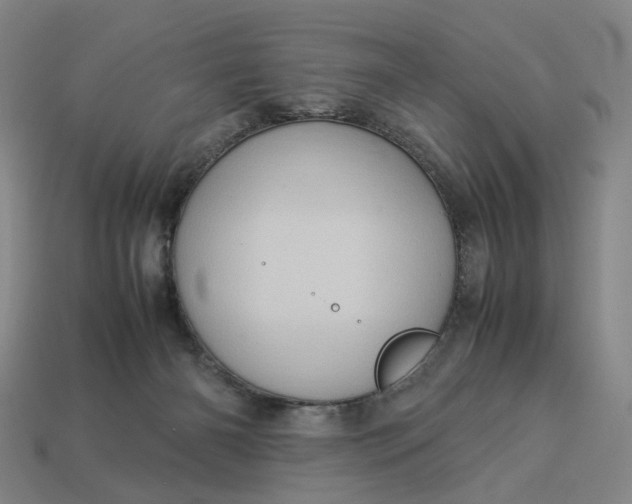 X0000112950126200909071123