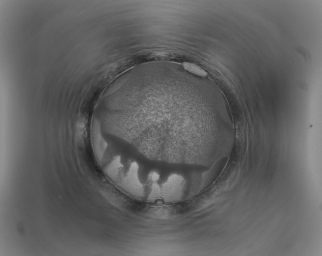 X0000112950127200909071123