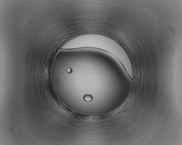 X0000112950128200909071123