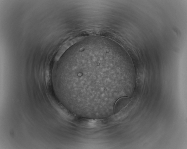 X0000112950130200909071123