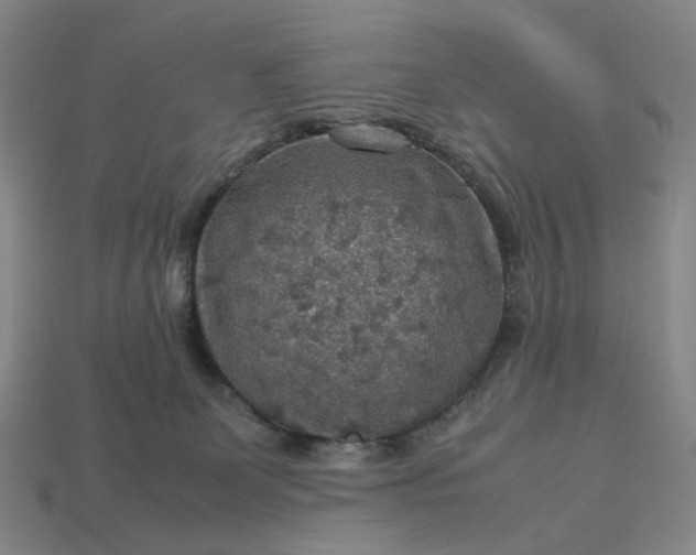 X0000112950131200909071123