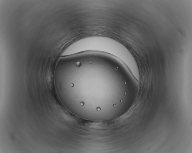 X0000112950132200909071123