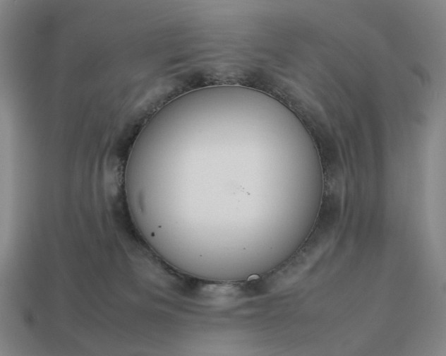 X0000112950133200909071123