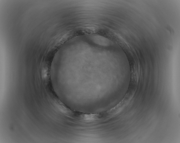 X0000112950134200909071123