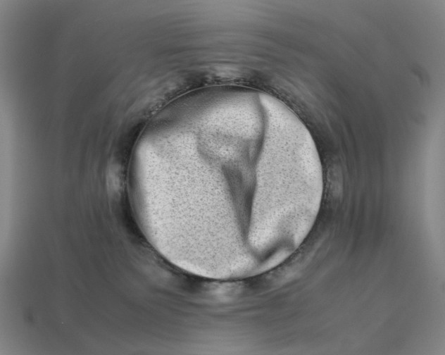 X0000112950135200909071123