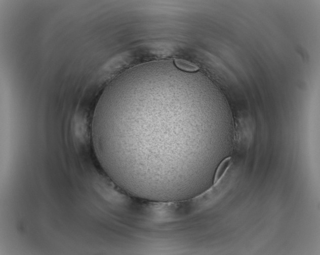 X0000112950136200909071123