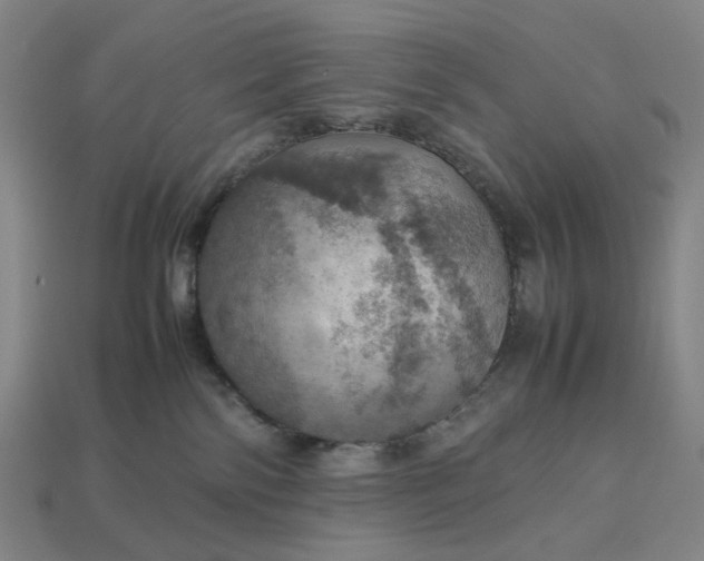 X0000112950138200909071123