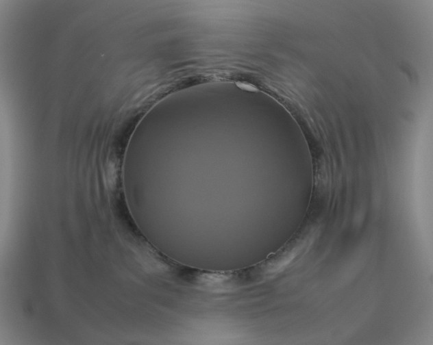 X0000112950139200909071123