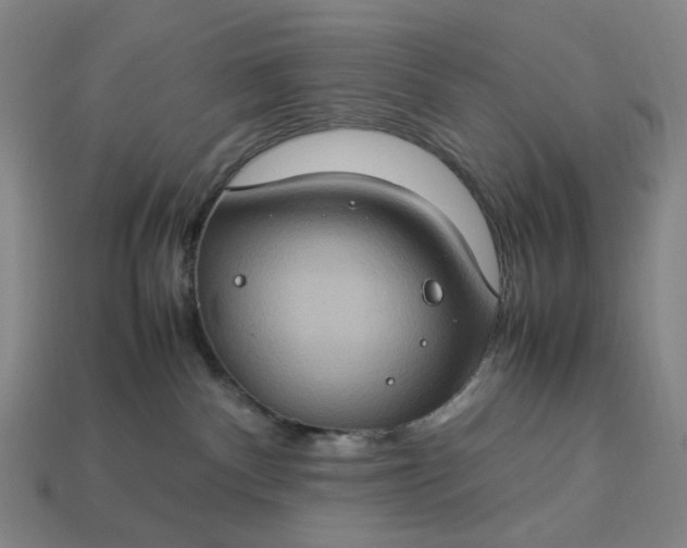 X0000112950140200909071123