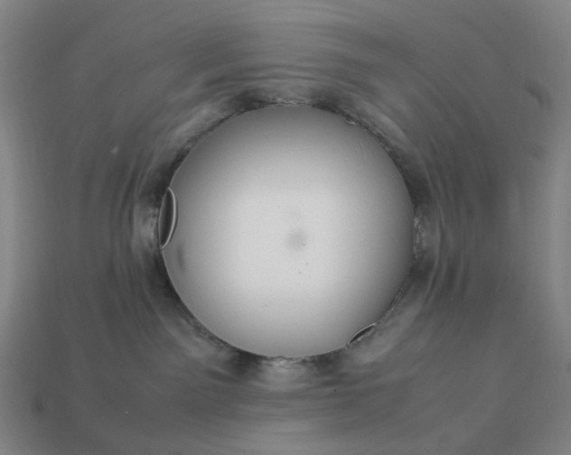 X0000112950141200909071123