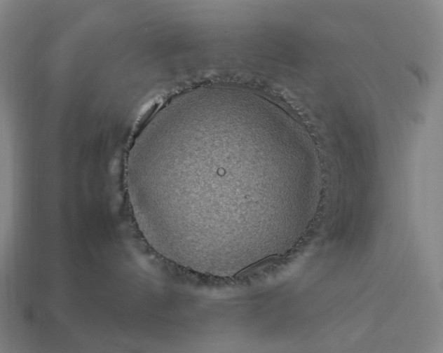 X0000112950144200909071123