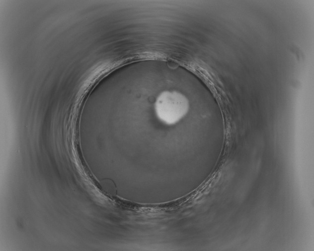 X0000112950145200909071122