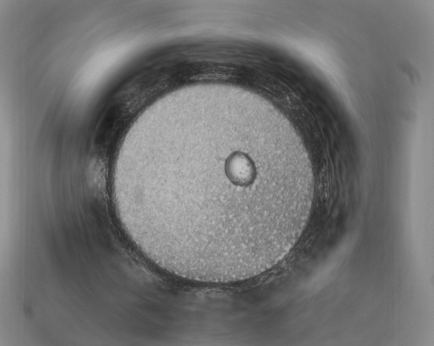 X0000112950146200909071122