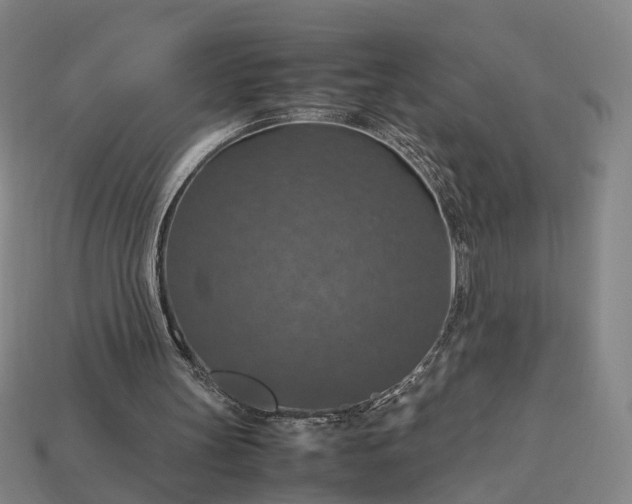 X0000112950147200909071123