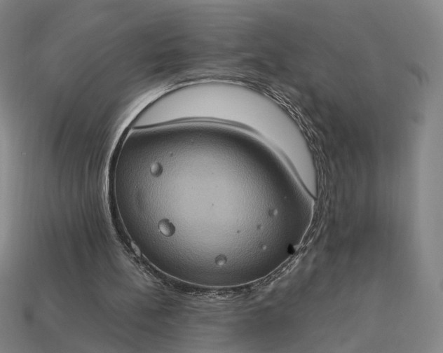 X0000112950148200909071123