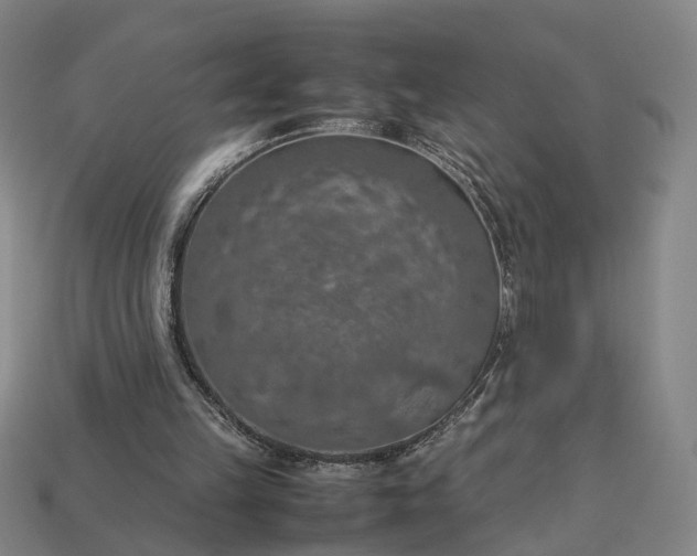 X0000112950149200909071123