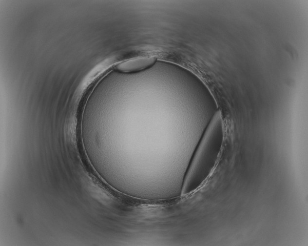 X0000112950150200909071123