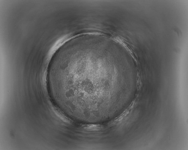 X0000112950151200909071123